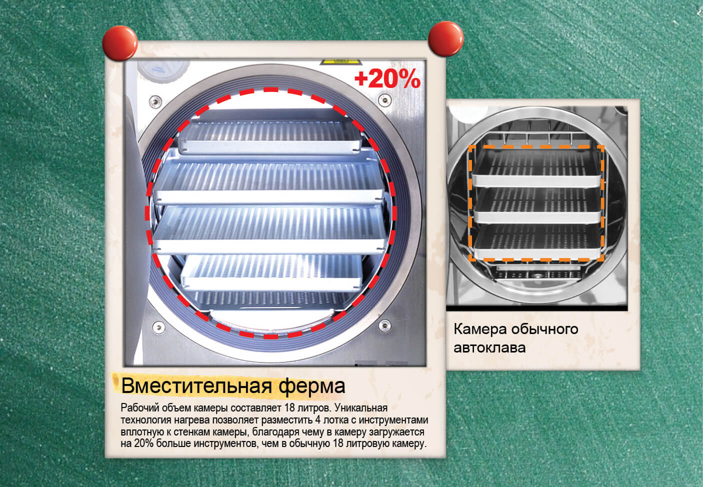 Презентация Domina