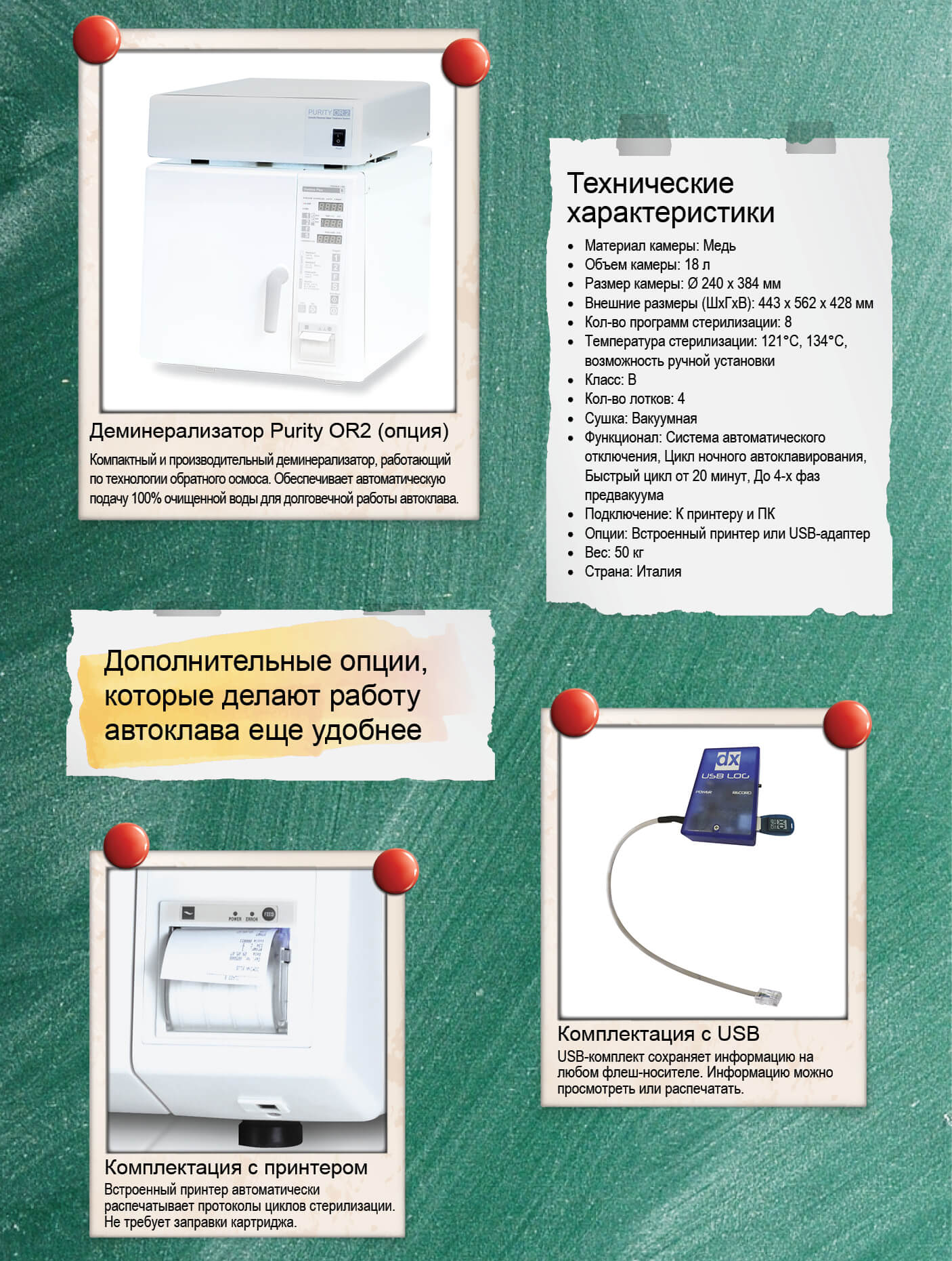 Презентация Domina