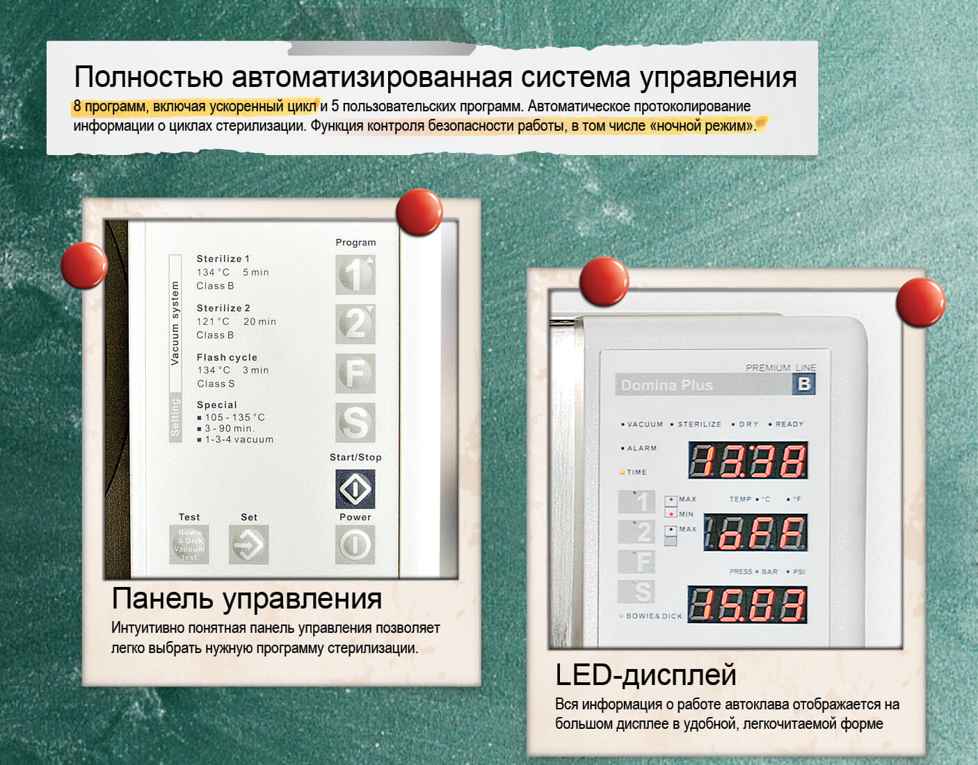 Презентация Domina