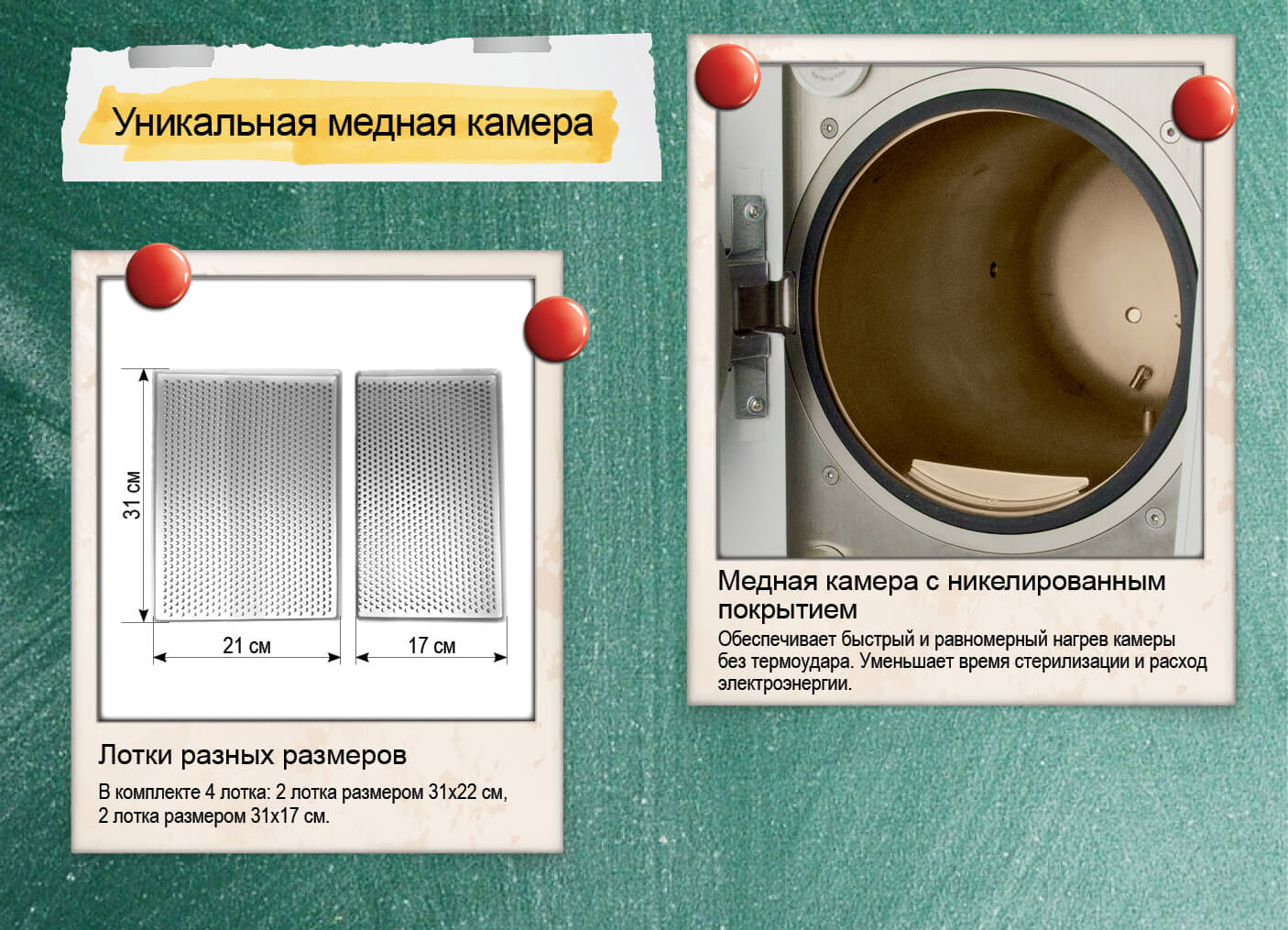 Презентация Domina